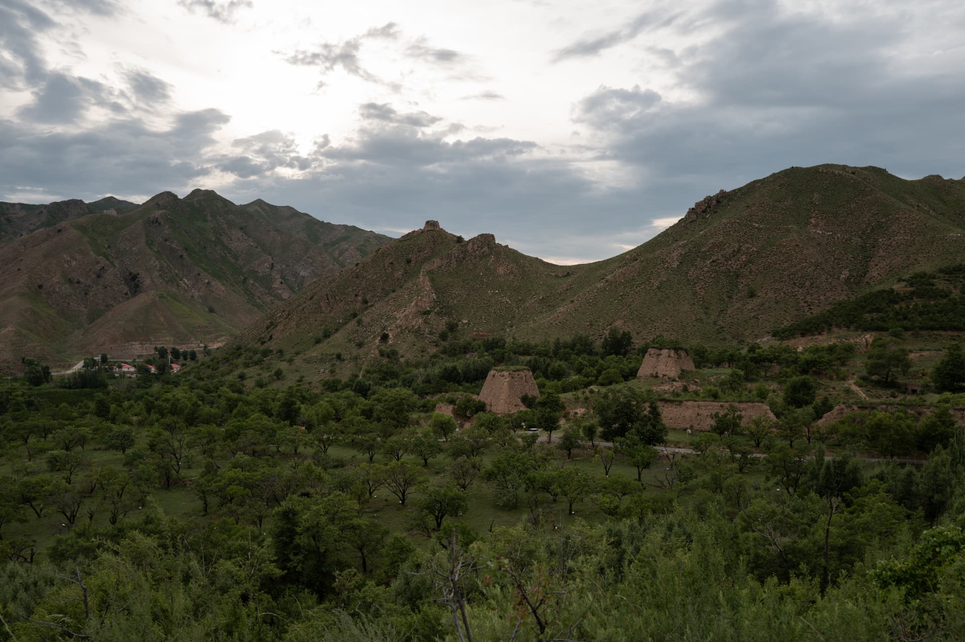 Mountain valley with apricot orchards