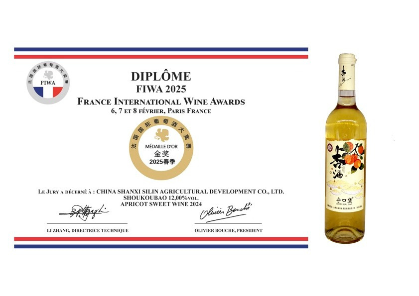 FIWA 2025 certificate