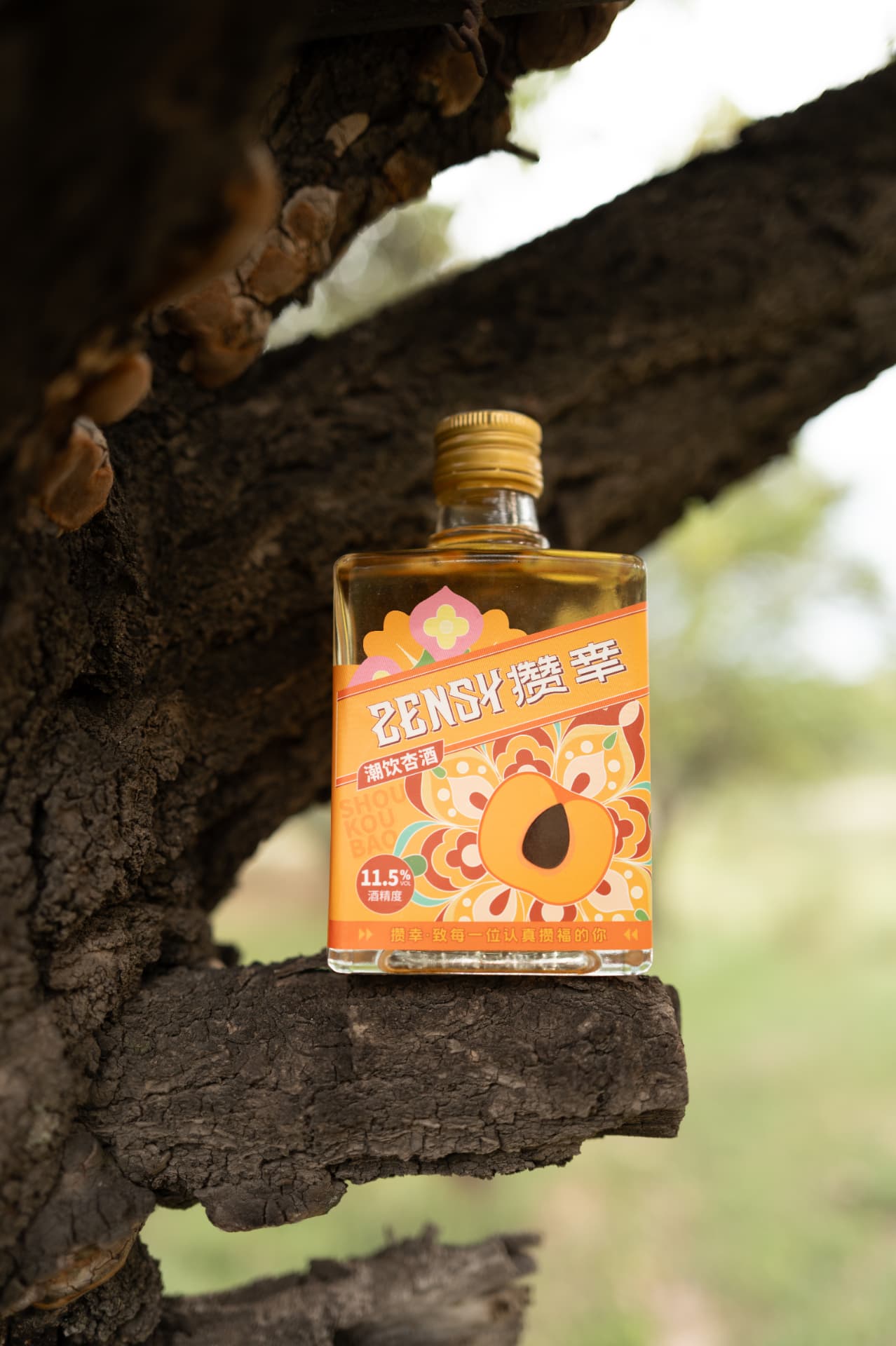 ZENSY 200ml · 12%vol